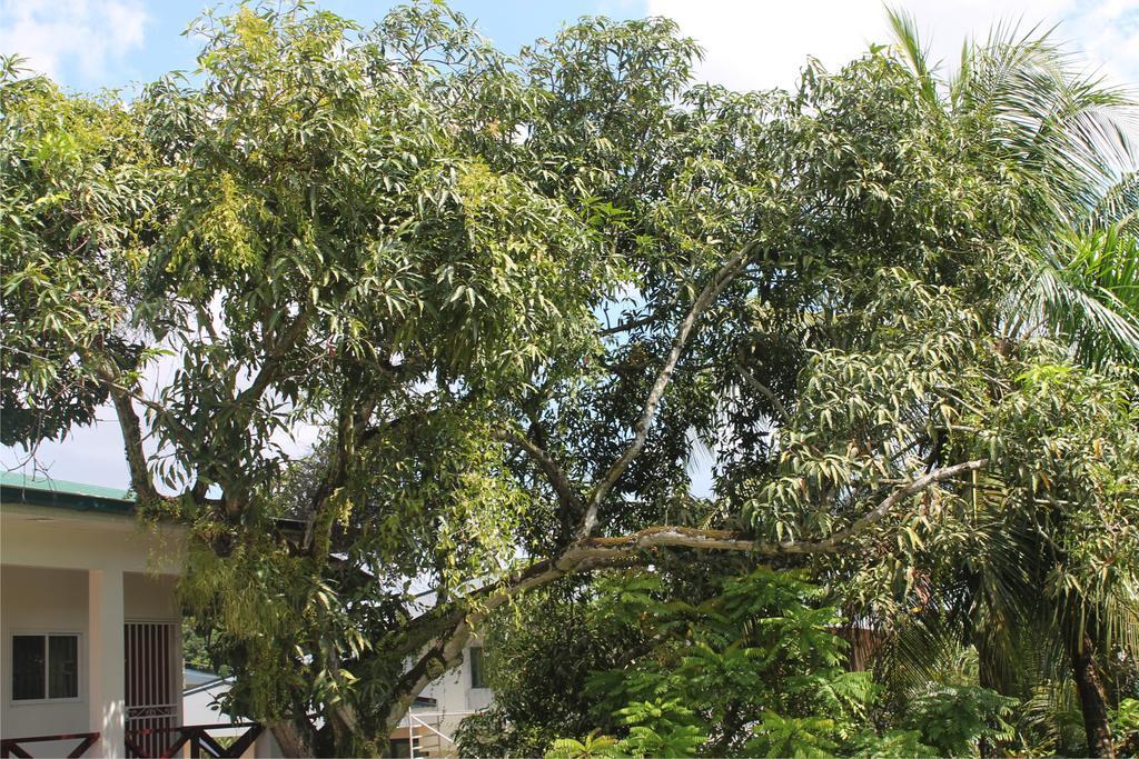Asteria Studios Paramaribo Exterior photo