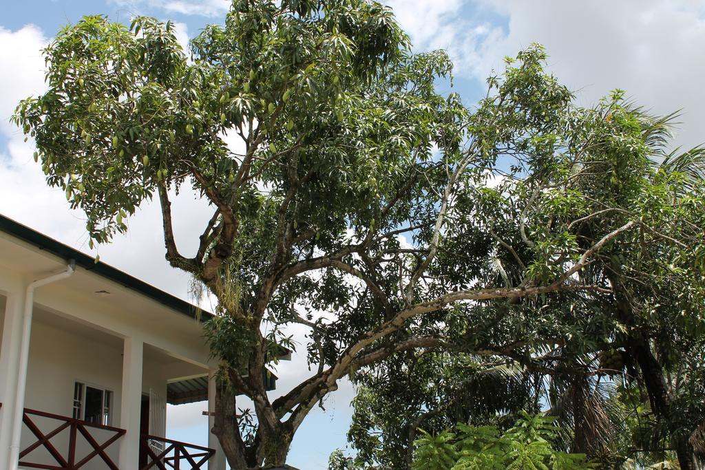 Asteria Studios Paramaribo Exterior photo